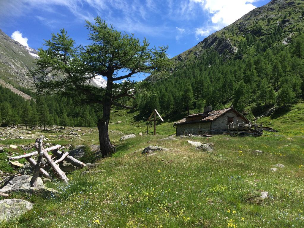 Chalet Sunstar Saas-Grund Exterior foto